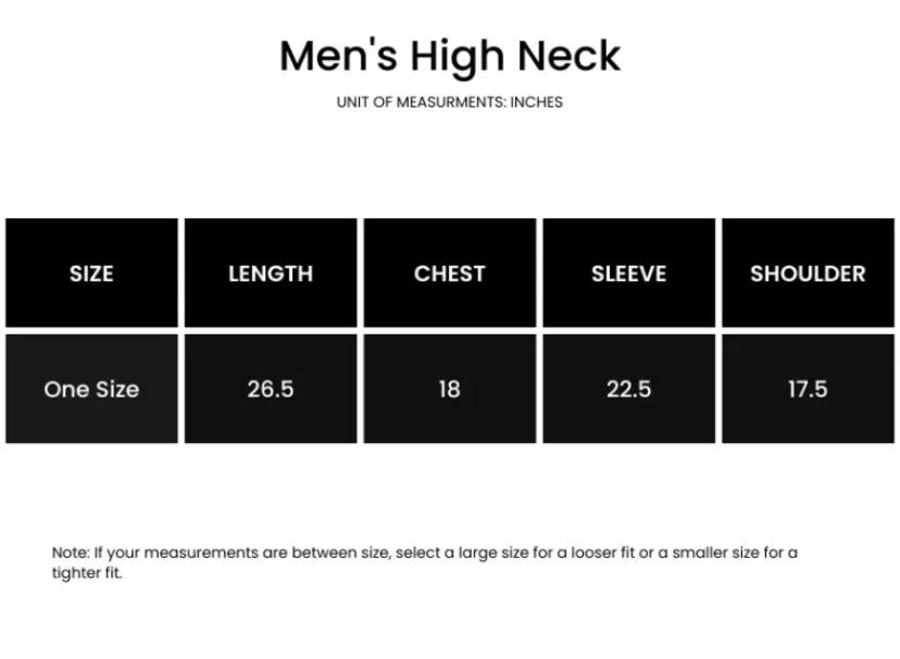 Mens highneck with warm material and classy vibes.